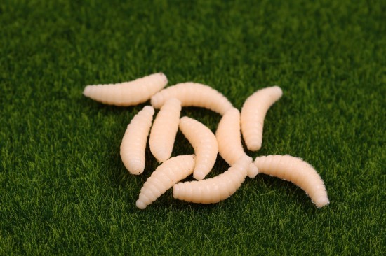 Imitatie maden - 10 st